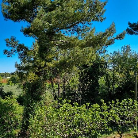 Juli No 2 Lägenhet Poreč Exteriör bild
