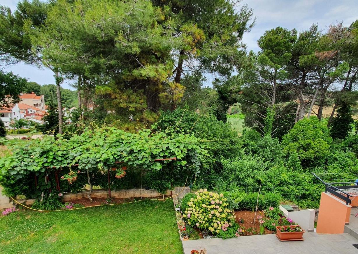 Juli No 2 Lägenhet Poreč Exteriör bild